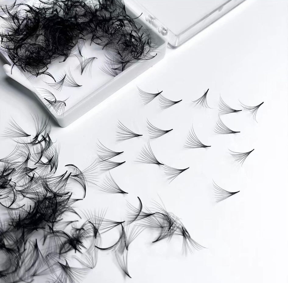 Lash Extensions